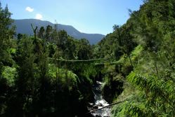 IMGP0082