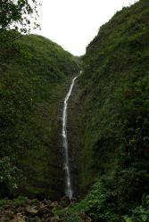 IMGP0094