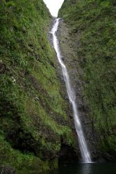 IMGP0103