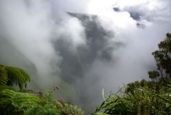IMGP0109