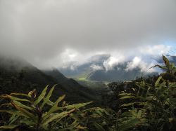 IMG_0083